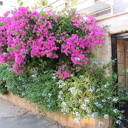 Villa Akdeniz Willa Kaş